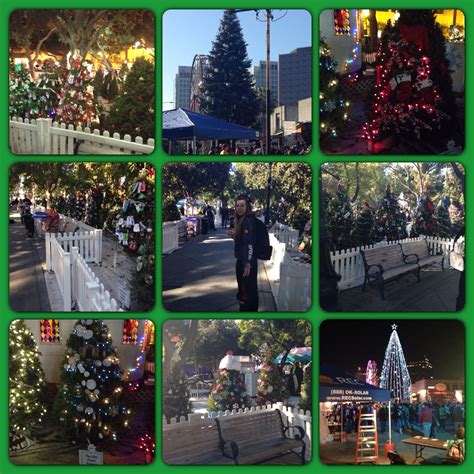 Discover the Delight of San Jose's Holiday Festivals and Parades